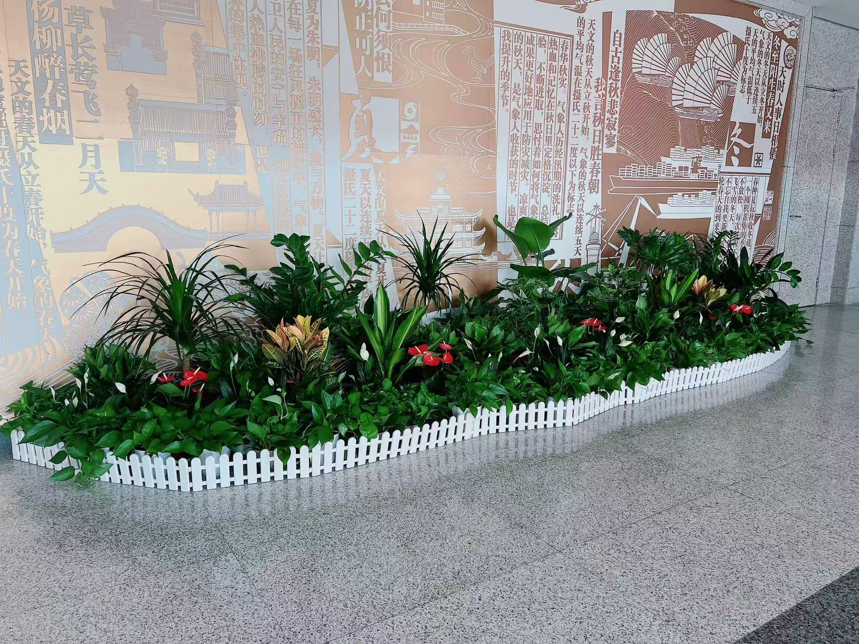 宁波余姚盆景出租，以超实惠价格扮靓生活！